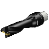 Punta a inserti A880-D1187C4-03