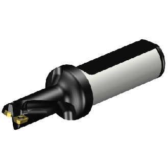 Punta a inserti A880-D0500LX19-02-Leggi tutto