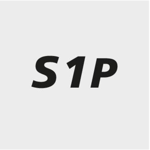 Halbschuh 643160, S1P,SRC,HRO, Gr.47 Halbschuh 643160, S1P,SRC,HRO, Gr.47-Beschreibung lesen