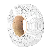 Filamento Refill PETG White - 1.75mm, 1000g