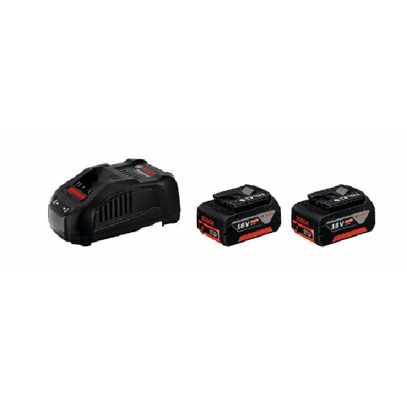 Akku Starter-Set: 2 x GBA 18 Volt, 5.0 Ah und GAL 1880 CV-Beschreibung lesen