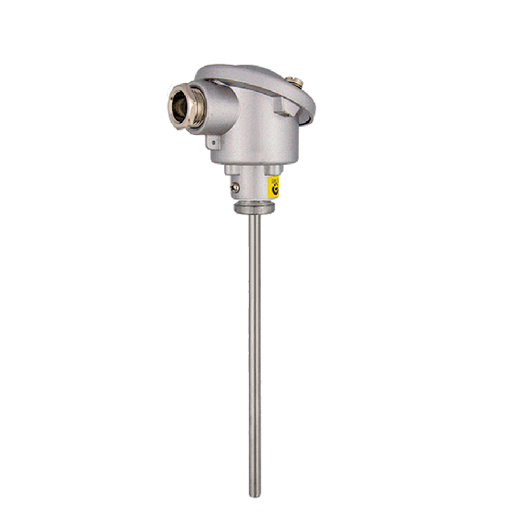 TÊTE DE SONDE DE TEMPÉRATURE (RTD) PT100 AVEC CONNEXION ÉLECTRIQUE SIMPLE ET AMPOULE LISSE EN ACIER INOXYDABLE AISI 316-Leggi tutto