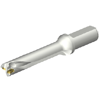 DS20-D2100L25-05 Punta a inserti foratura-Leggi tutto