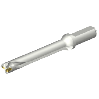 Punta a inserti foratura DS20-D1666LX19-07-Leggi tutto