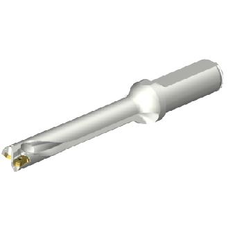 Punta a inserti foratura DS20-D1500L20-06-Leggi tutto