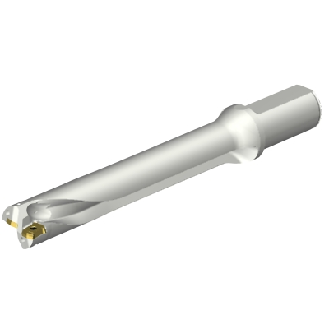 Punta a inserti foratura DS20-D3015LX31-06-Leggi tutto