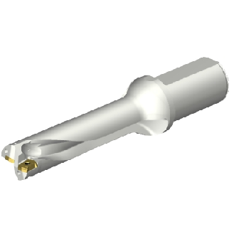 Punta a inserti foratura DS20-D3100L40-04-Leggi tutto