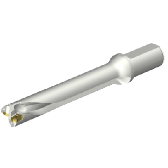 Punta a inserti foratura DS20-D2858LX31-06-Leggi tutto