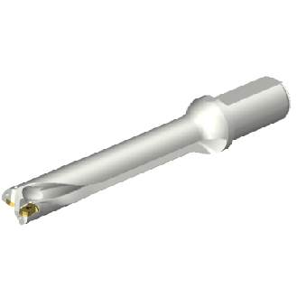 DS20-D2600L32-06 Punta a inserti foratura-Leggi tutto