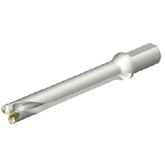 Punta a inserti foratura DS20-D2858LX31-07-Leggi tutto