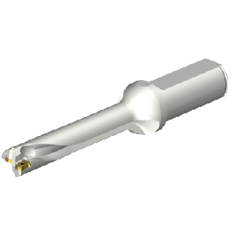 Punta a inserti foratura DS20-D1745LX25-05-Leggi tutto