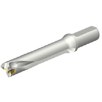 Punta a inserti DS20-D2540LX25-05-Leggi tutto