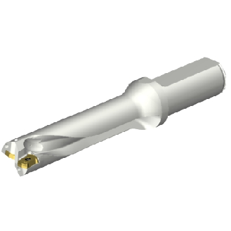 Punta a inserti foratura DS20-D2300L25-04-Leggi tutto