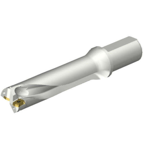 Punta a inserti foratura DS20-D3900L40-04-Leggi tutto