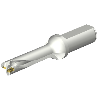 DS20-D1800L25-04 Punta a inserti multitaglienti CoroDrill DS20-Leggi tutto