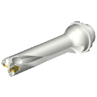 Punta a inserti foratura DS20-D2900DM32-04-Leggi tutto