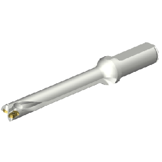 Punta a inserti foratura DS20-D1500L20-07-Leggi tutto