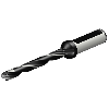 870-1000-6L16-8 Punta a cuspide foratura
