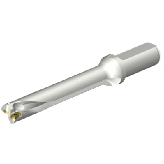 Punta a inserti foratura DS20-D2100L25-06-Leggi tutto