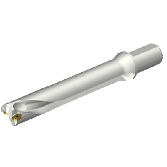 Punta a inserti foratura DS20-D3967LX38-06-Leggi tutto