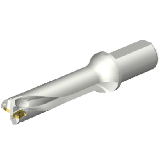 DS20-D3175LX38-04 Punta a inserti foratura-Leggi tutto