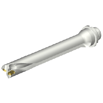 Punta a inserti foratura DS20-D2500DM25-07-Leggi tutto