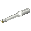 Punta a inserti foratura DS20-D1745LX25-06
