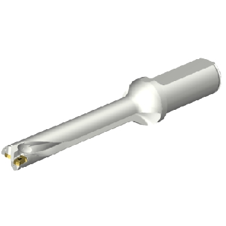 Punta a inserti foratura DS20-D1745LX25-06-Leggi tutto