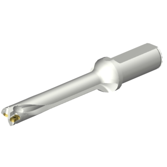 Punta a inserti foratura DS20-D1745LX25-06 Punta a inserti foratura DS20-D1745LX25-06-Leggi tutto