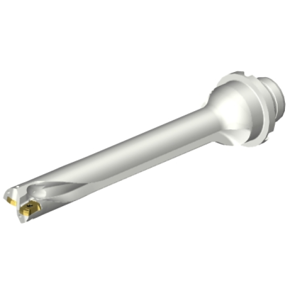 Punta a inserti foratura DS20-D1900DM25-07 Punta a inserti foratura DS20-D1900DM25-07-Leggi tutto