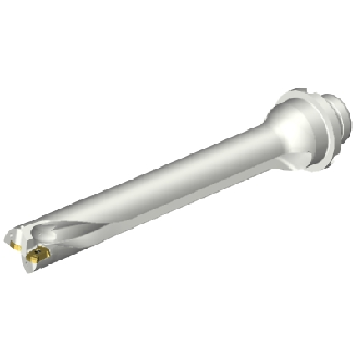 Punta a inserti foratura DS20-D2200DM25-07-Leggi tutto