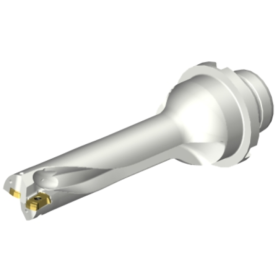 Bohrer DS20-D2100DM25-04-Beschreibung lesen