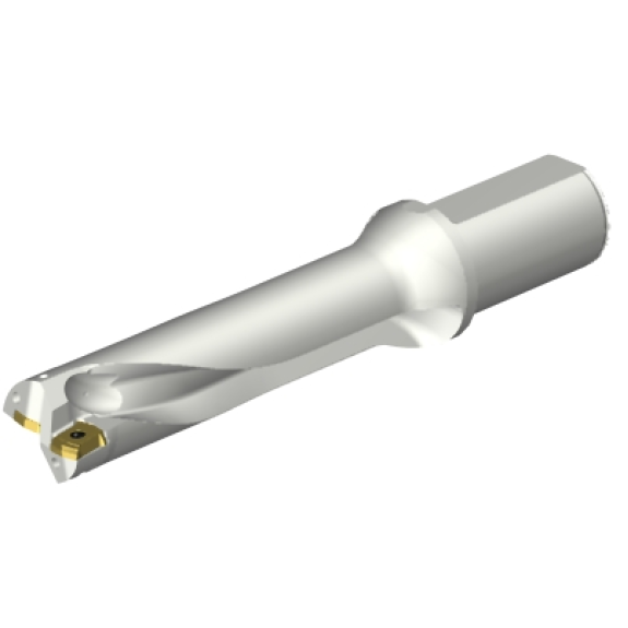 Punta a inserti foratura DS20-D3600L40-04 Punta a inserti foratura DS20-D3600L40-04-Leggi tutto
