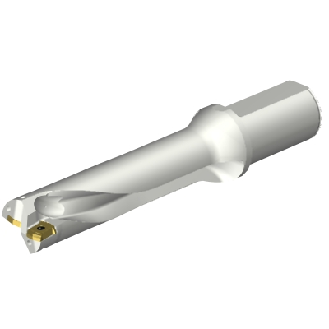 Punta a inserti foratura DS20-D3600L40-04-Leggi tutto