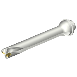 Punta a inserti foratura DS20-D2900DM32-07-Leggi tutto
