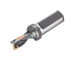 Punta a inserti 881-D1550L20-02