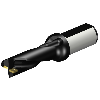 Punta a inserti foratura 880-D2600L32-03