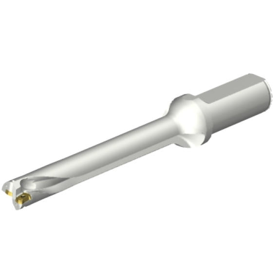Punta a inserti foratura DS20-D1800L25-07-Leggi tutto