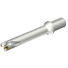 Punta a inserti foratura DS20-D3332LX38-06