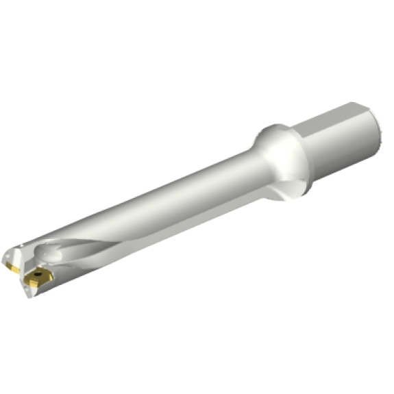 Punta a inserti foratura DS20-D3332LX38-06-Leggi tutto