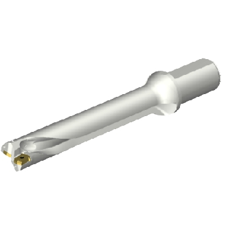 Punta a inserti foratura DS20-D3810LX38-06-Leggi tutto
