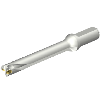 Punta a inserti foratura DS20-D2100L25-07-Leggi tutto