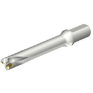 Punta a inserti foratura DS20-D2900L32-06-Leggi tutto