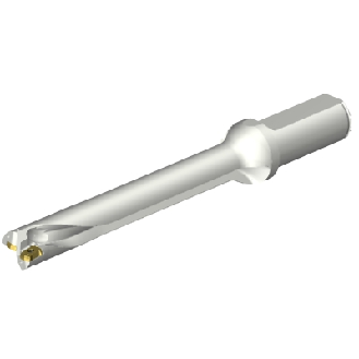 Punta a inserti foratura DS20-D2000L25-07-Leggi tutto