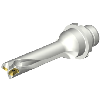 DS20-D1500DM20-04 Punta a inserti foratura-Leggi tutto