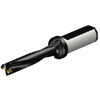 880-D1350L20-05 Punta a inserti foratura-Leggi tutto