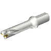 Punta a inserti foratura DS20-D3332LX38-04