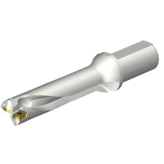 Punta a inserti foratura DS20-D3332LX38-04-Leggi tutto