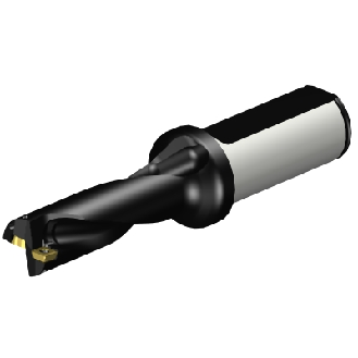 880-D1900L25-03 Punta a inserti foratura-Leggi tutto
