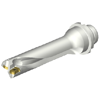 Punta a inserti foratura DS20-D2300DM25-04-Leggi tutto